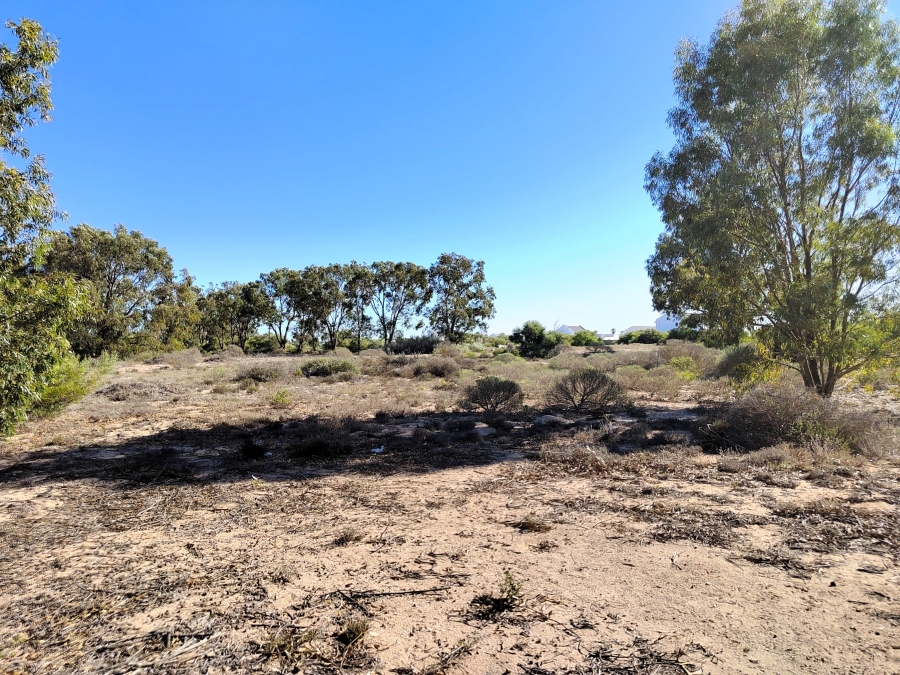 0 Bedroom Property for Sale in Brittania Beach Estate Western Cape